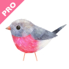 Robin pro photo gallery logo