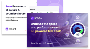 SEOant Banner