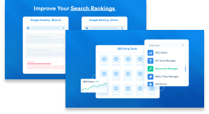 seo king banner