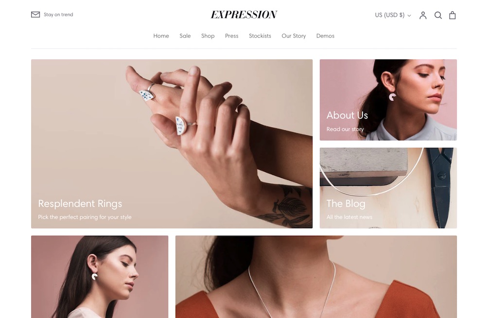 expression shopify theme demo store