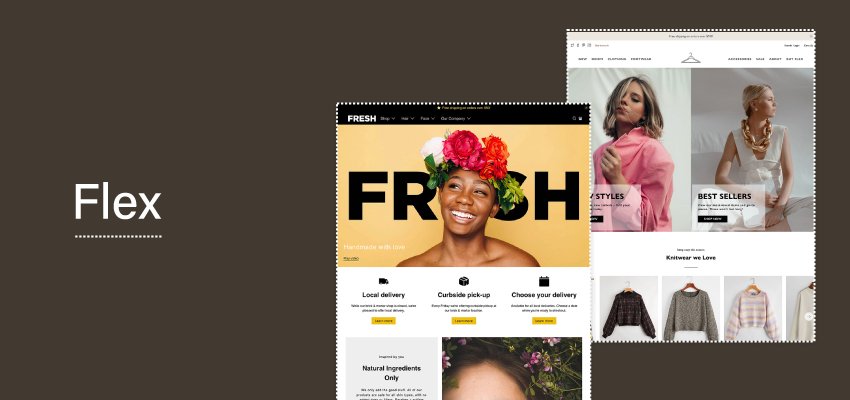 Flex shopify theme banner