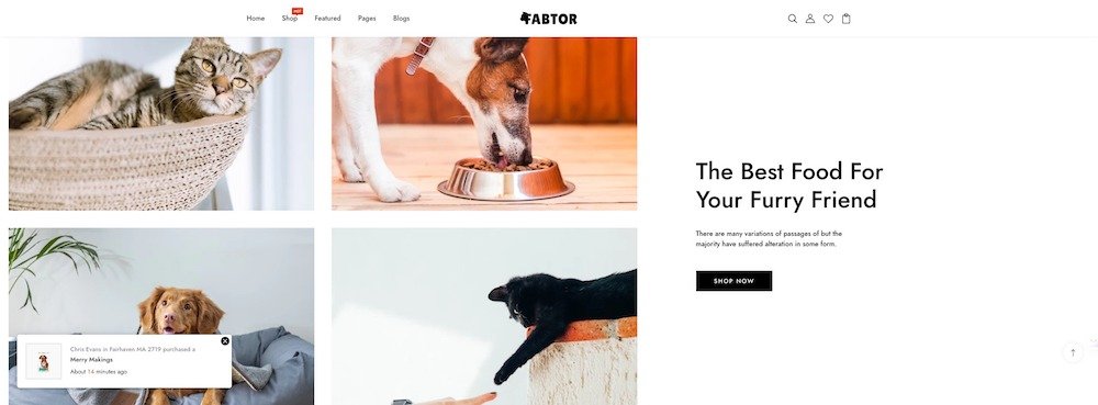fabtor shopify theme for pet stores design example