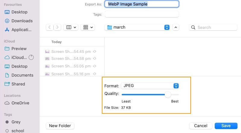Mac Preview WebP Converting – Choose the format for export as JPEG