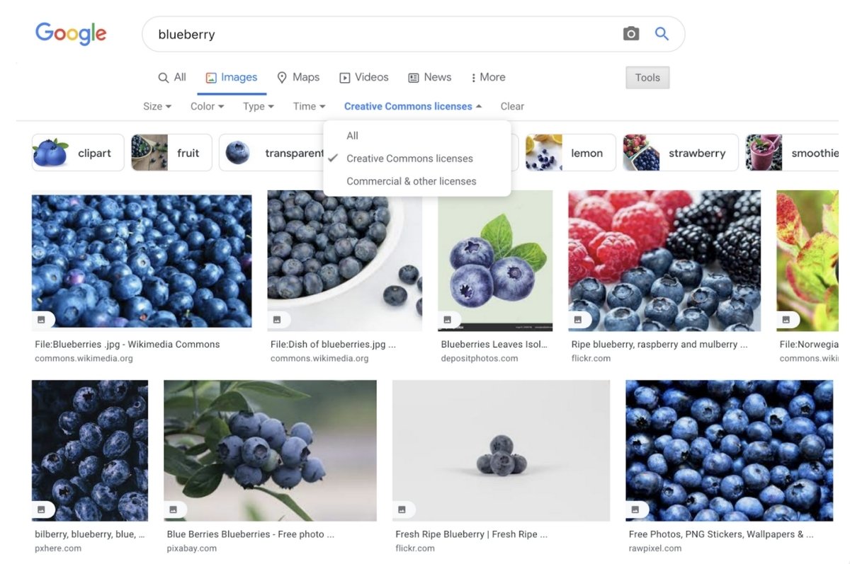 searching for blueberry in Google filtered by creative common licences