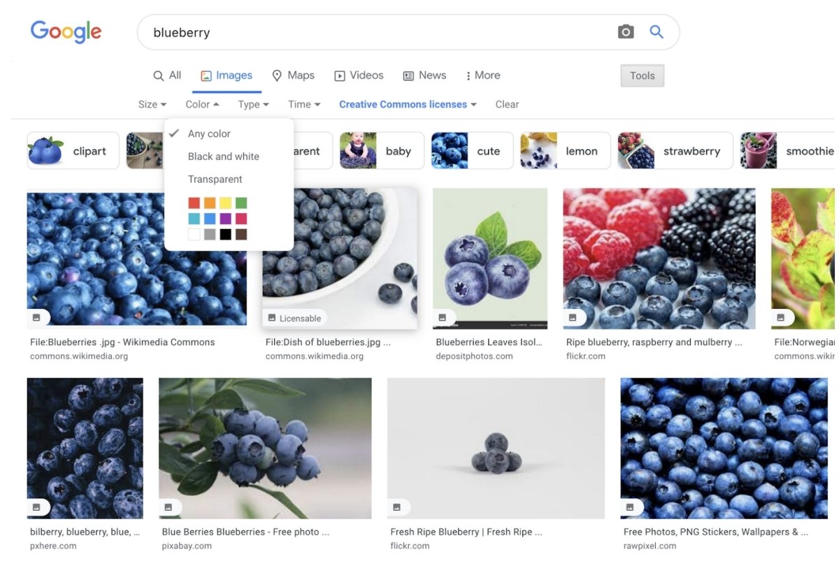 searching for blueberry in Google images