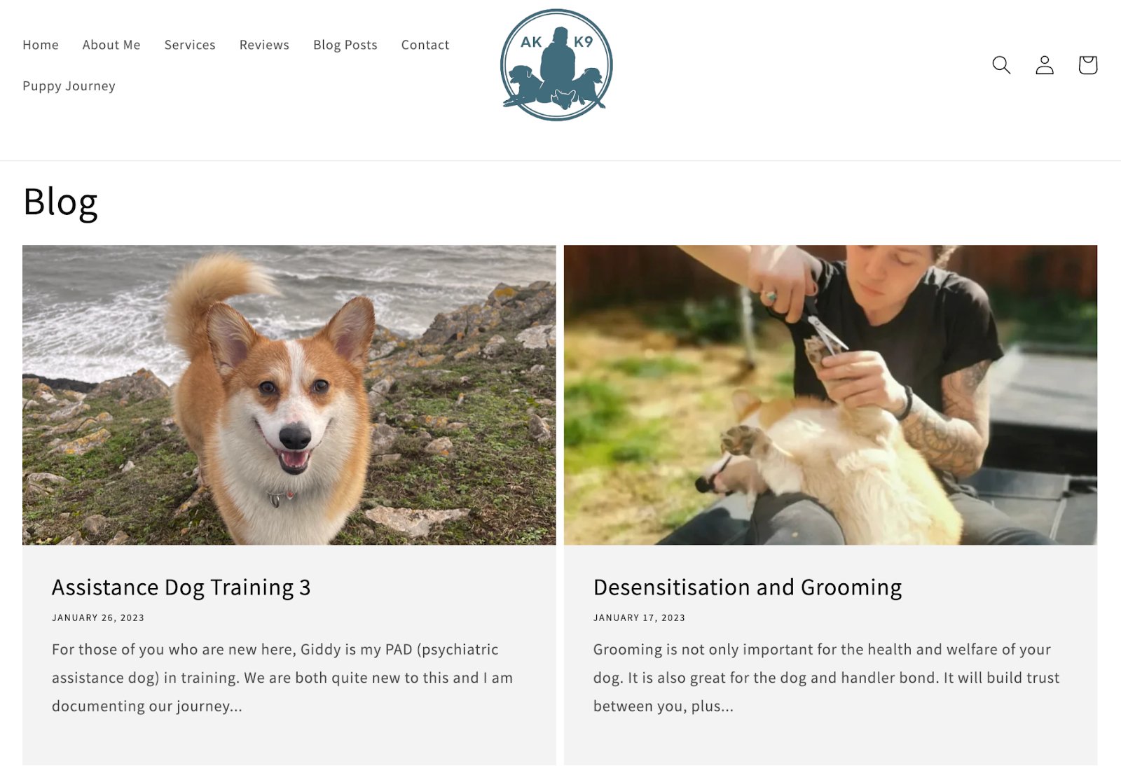 Blog posts on a Shopify that sells services