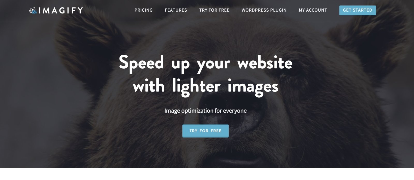 Imagify image optimization tool website