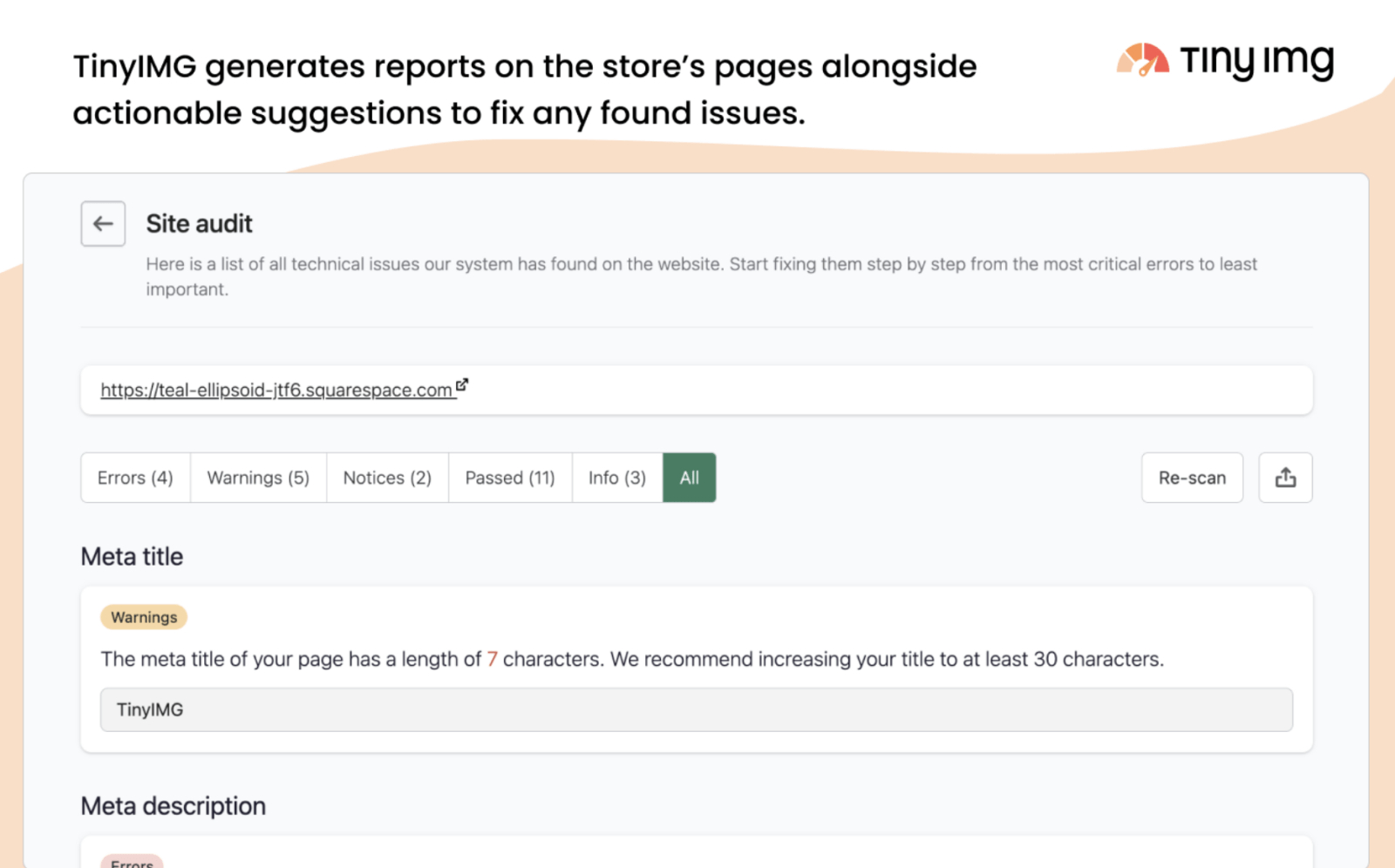 Interface of TinySEO report on the store's page
