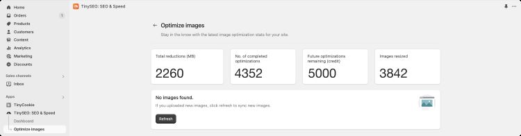 AMARRA TinySEO image optimization results