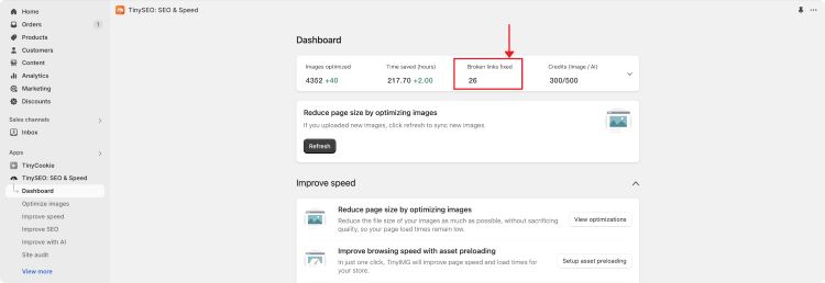 AMARRA TinySEO dashboard results