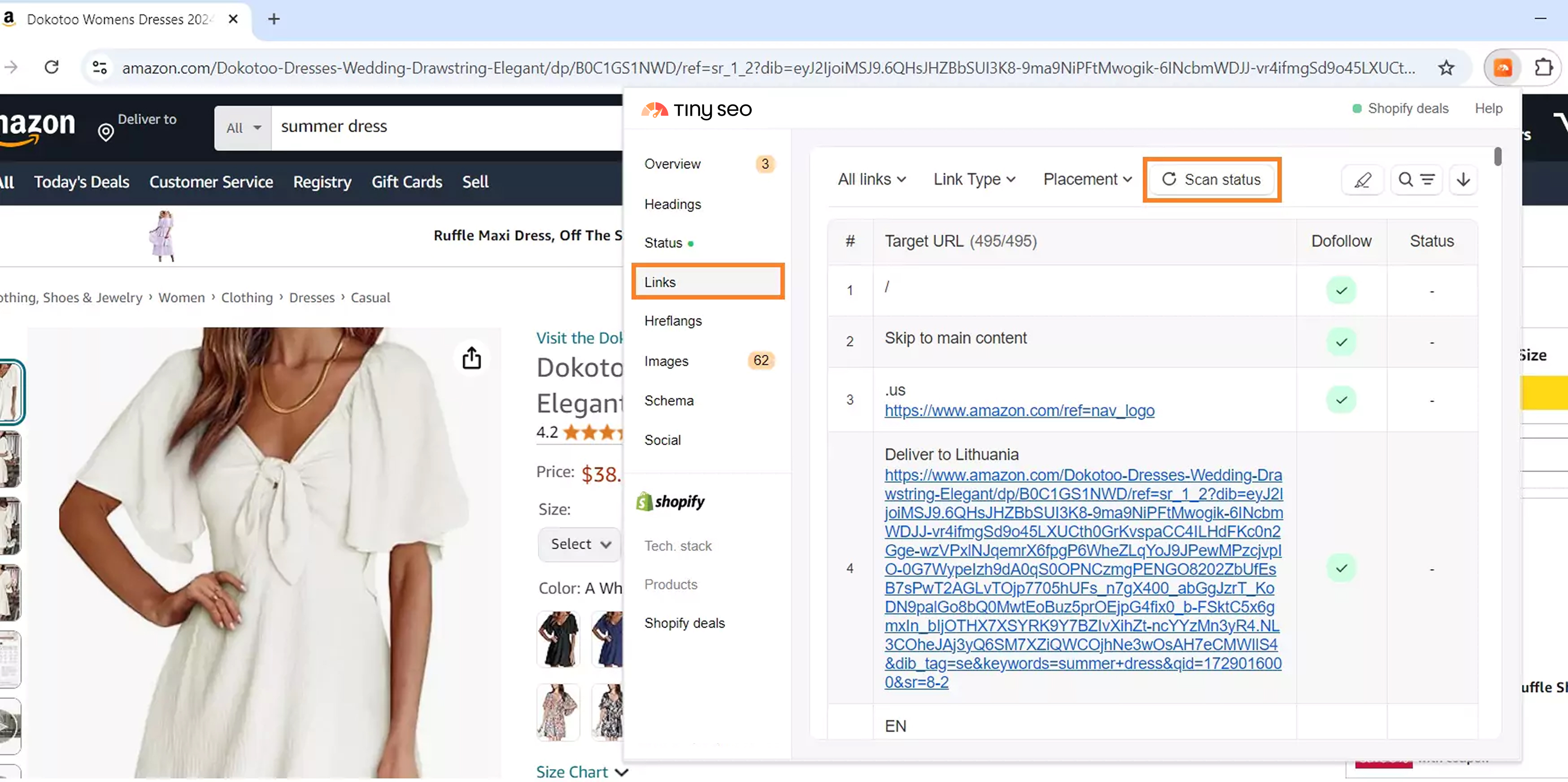 Scan link status with TinySEO