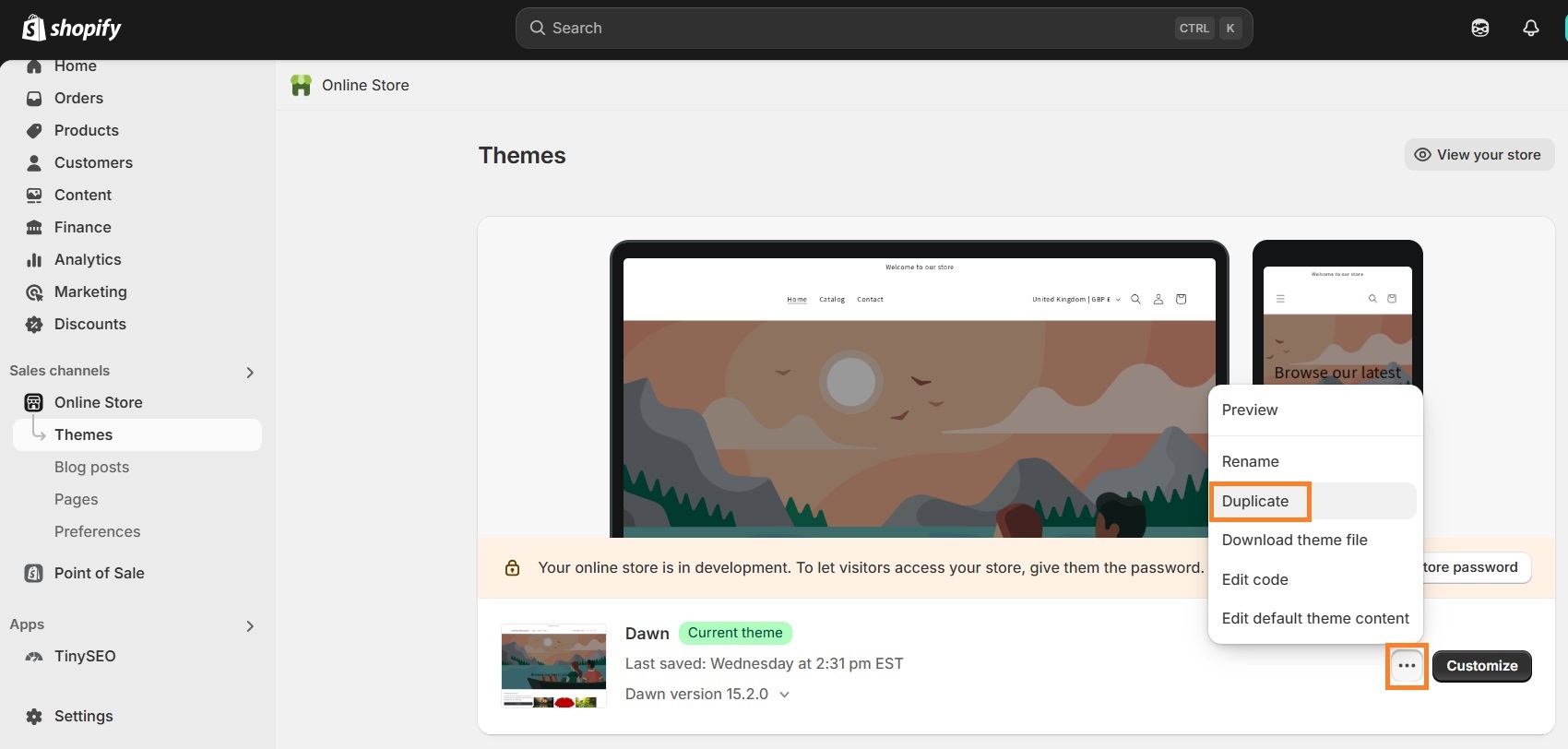Duplicate Shopify theme