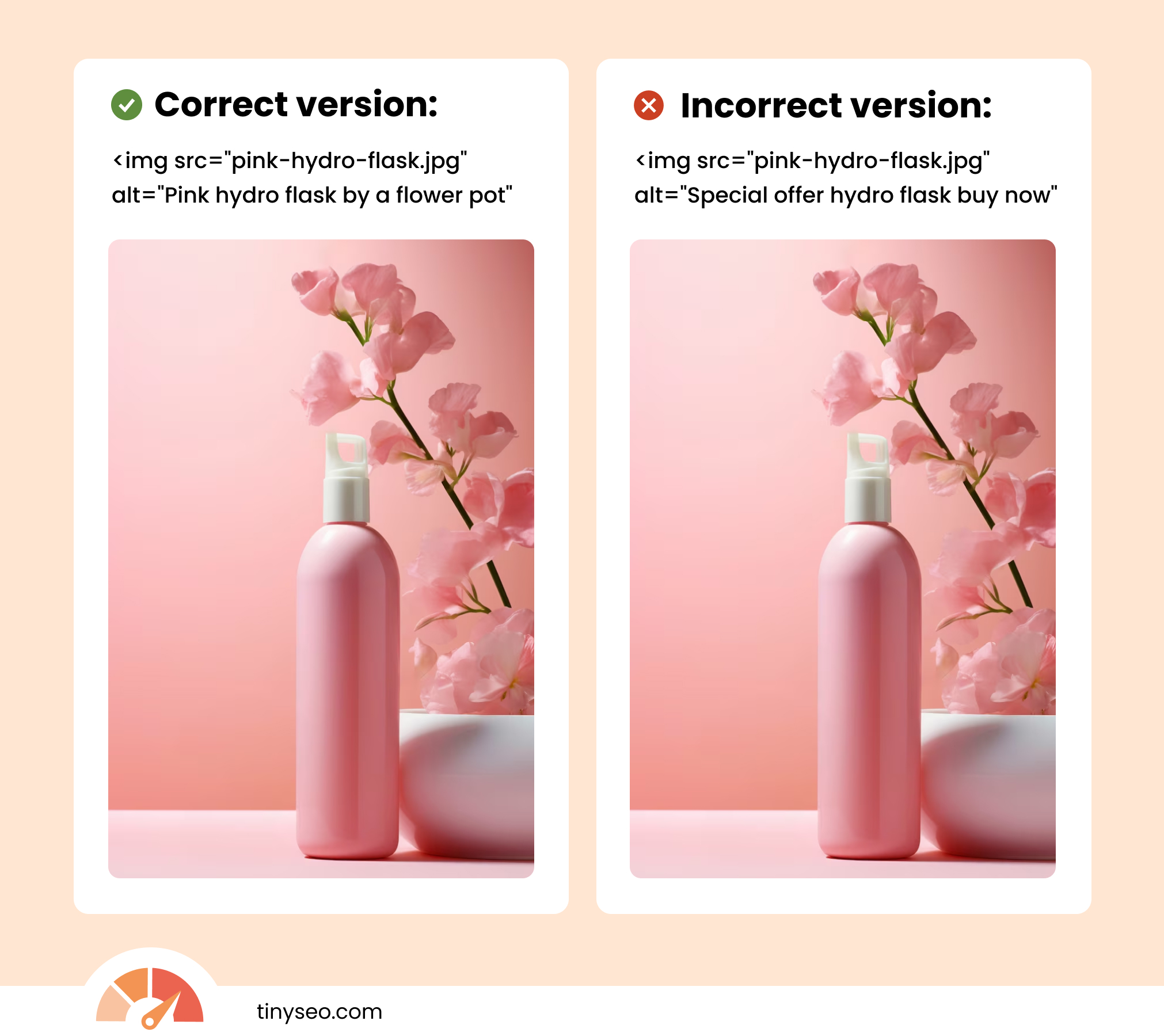 Best alt text practices example