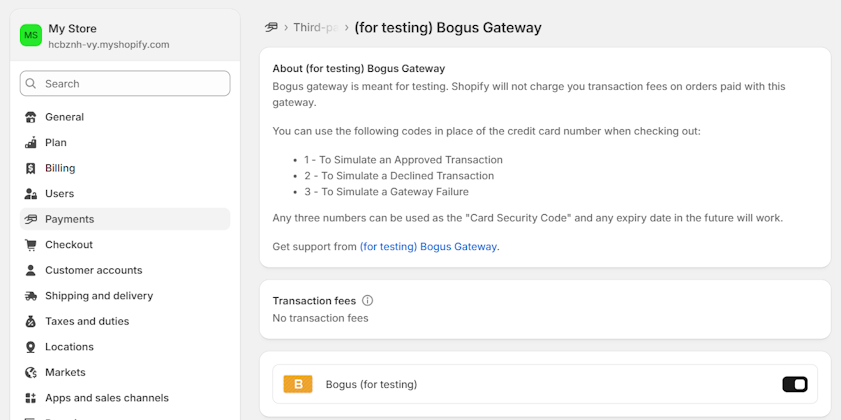 Shopify payment testing