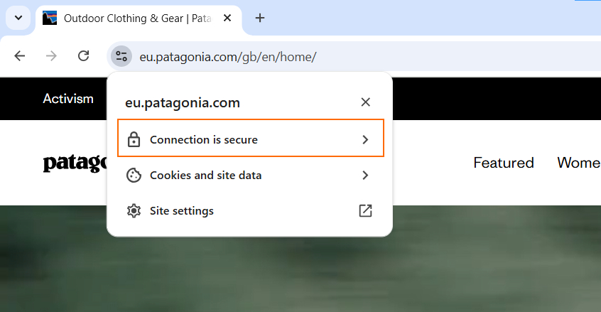 SSL certificate padlock example