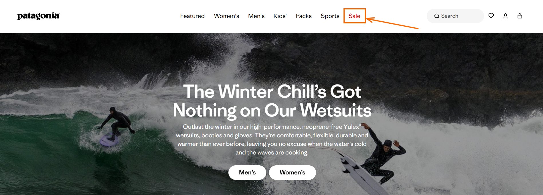 Patagonia website header example
