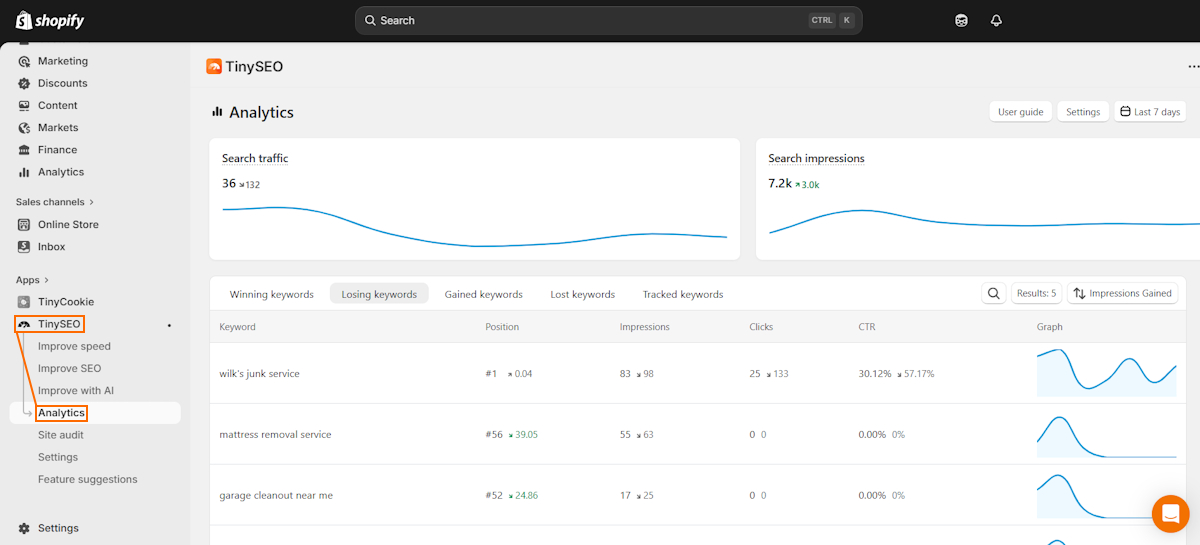 TinySEO Analytics section