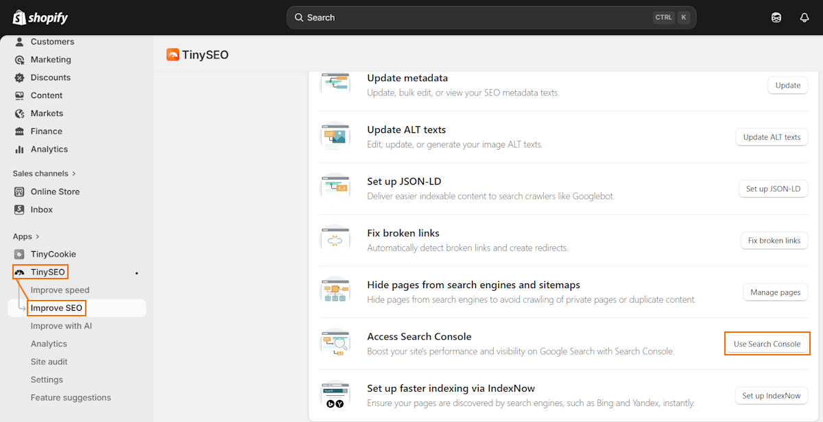 Search Console feature on TinySEO