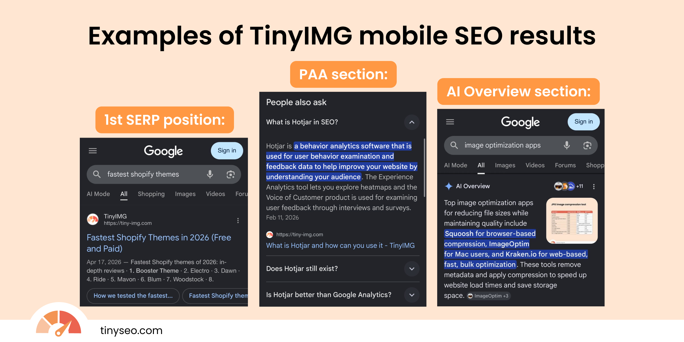 TinySEO mobile SEO result examples