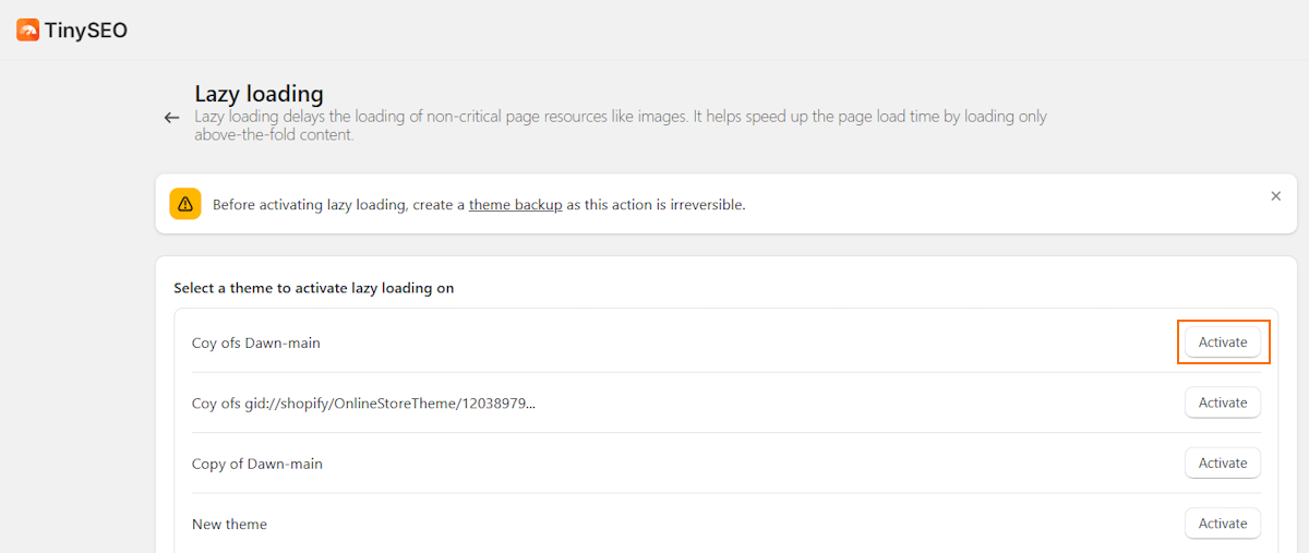 TinySEO lazy loading setup