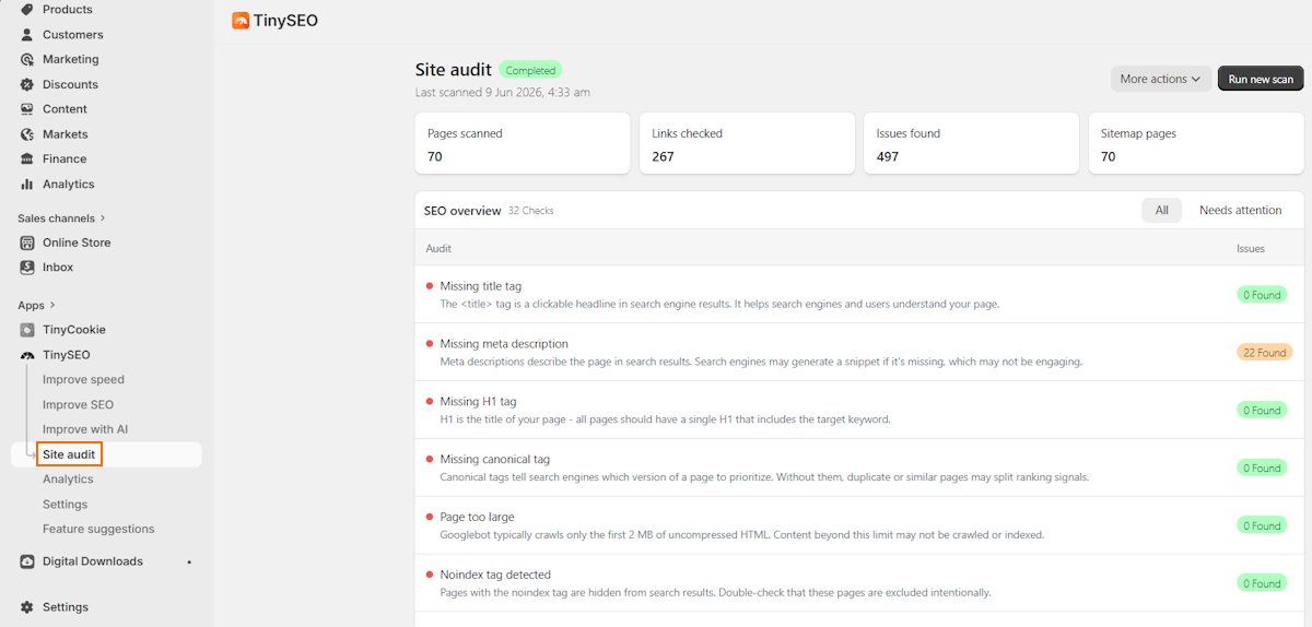 TinySEO site audit