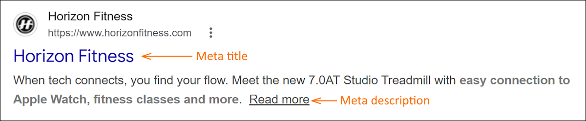Metadata example on Google Search