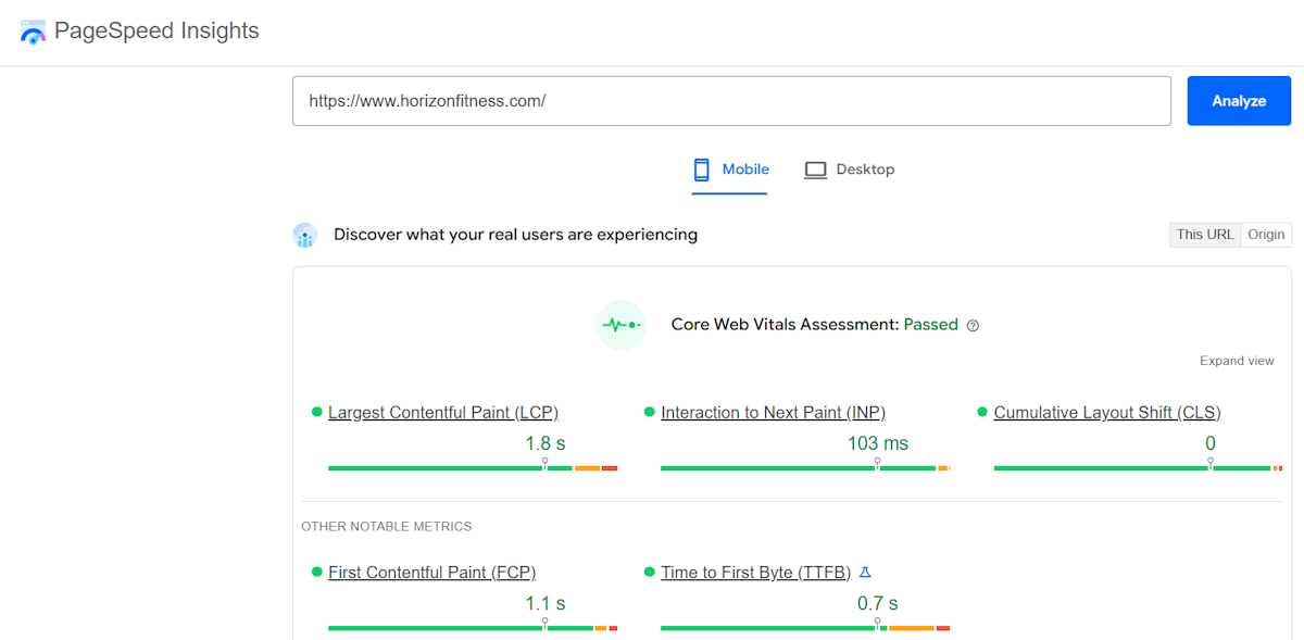 PageSpeed Insights example