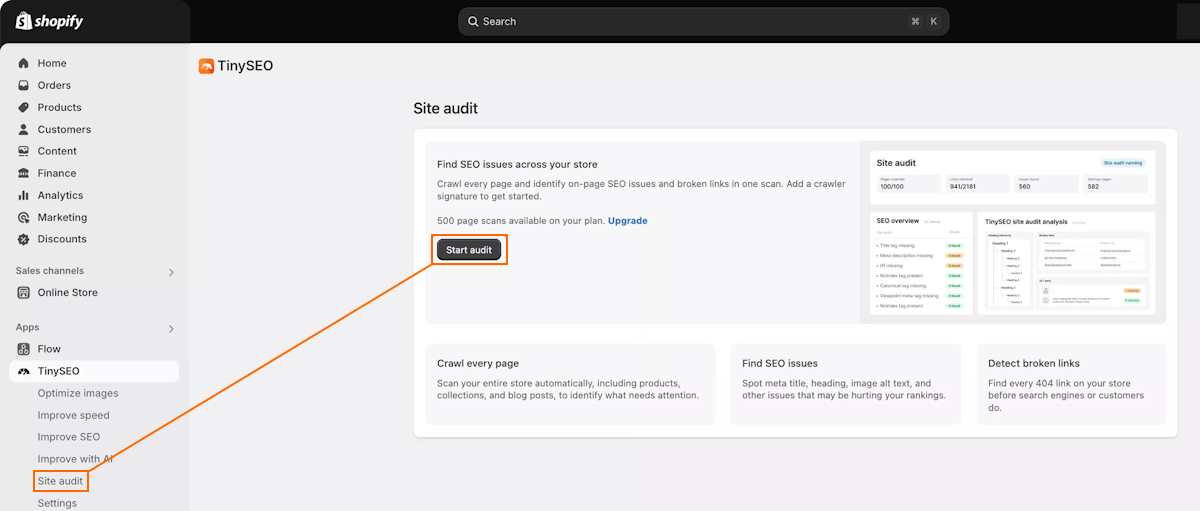 Run TinySEO site audit