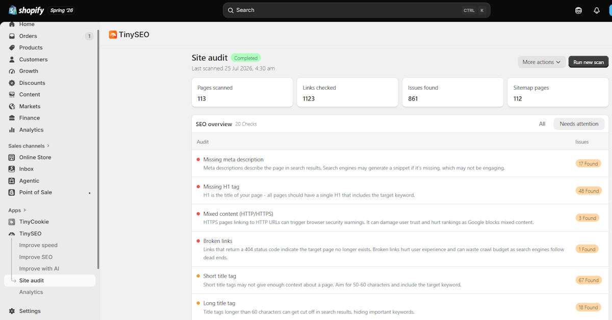 TinySEO site audit