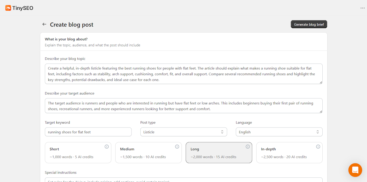 Describe blog post with TinySEO blog builder