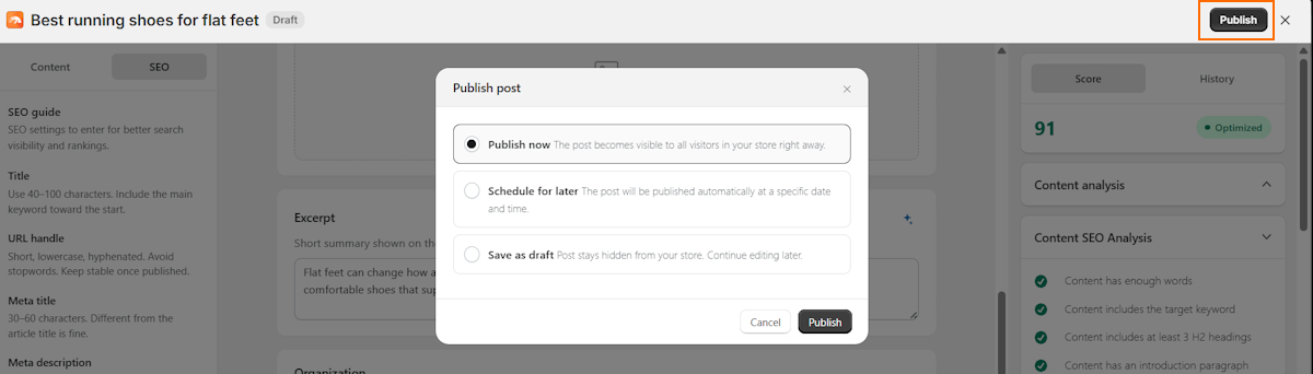 TinySEO blog builder publishing options