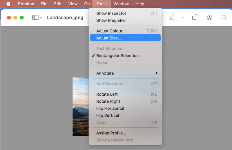 selecting adjust size to reduce jpeg image in preview app