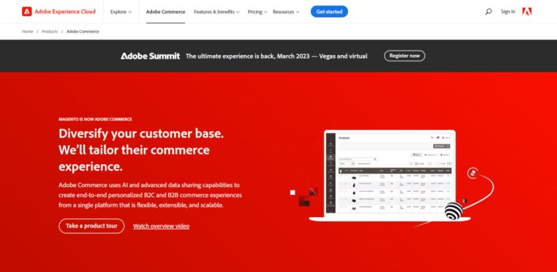 Magento for online store business