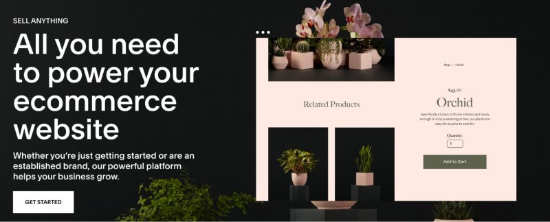 Squarespace to set up online store